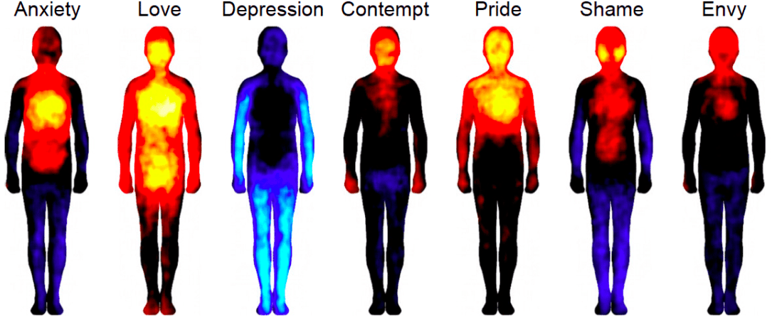 Emotion Maps How Emotions Change In The Body Science Of People