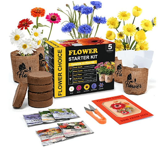 An indoor gardening kit from Meekear that would make a unique employee gift.